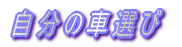 ̎ԑI